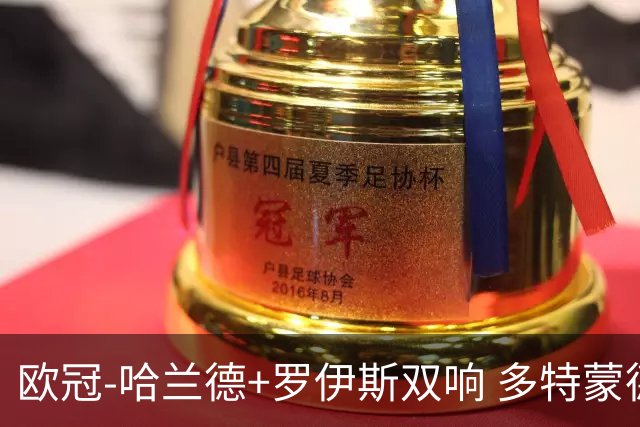 欧冠-哈兰德+罗伊斯双响 多特蒙德5-0大胜进欧联